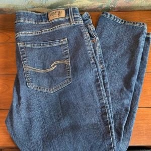 Signature Levi Skinny Jeans